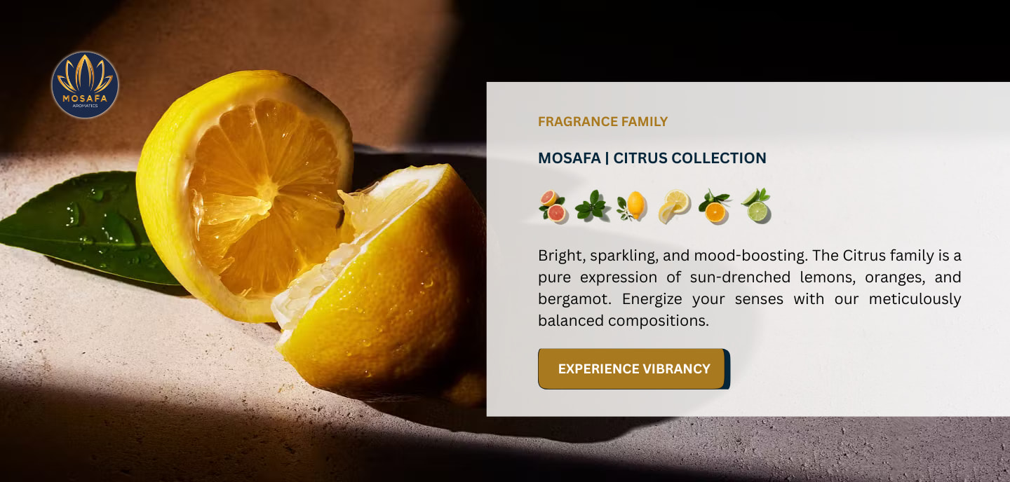 A sun-drenched artistic arrangement of fresh Sicilian lemons, bergamot, and grapefruit slices on a clean, bright background.