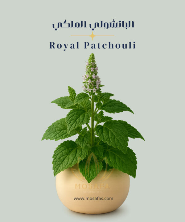 The luxurious Royal Patchouli perfume in a golden-hued, Tom Ford-style glass bottle with a black cap, set beside artistic representations of its key notes: patchouli leaves, cinnamon sticks, and vanilla pods.